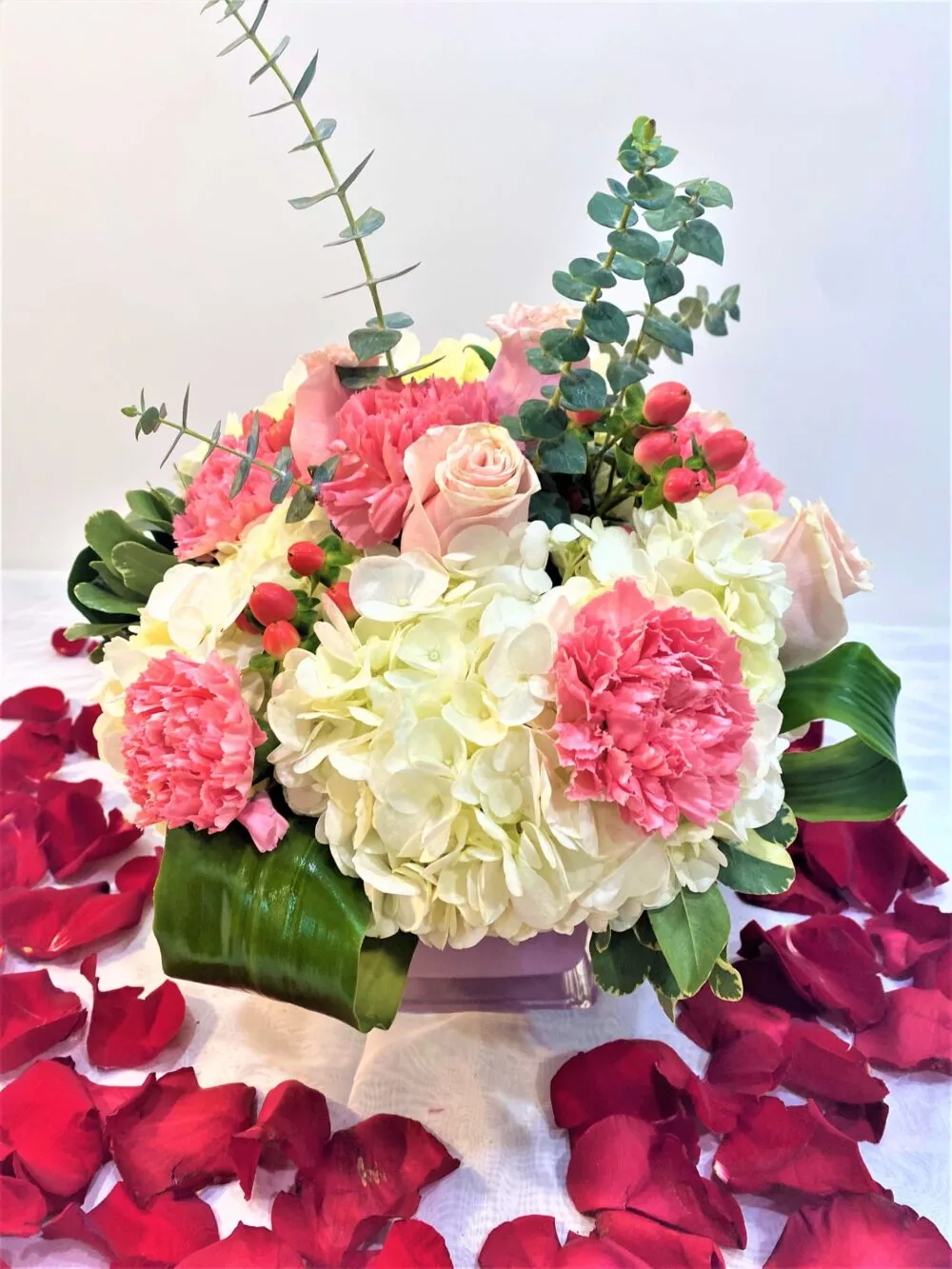 #15 Hydrangea Magic