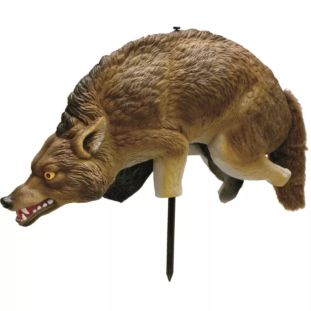 3D Coyote Decoy