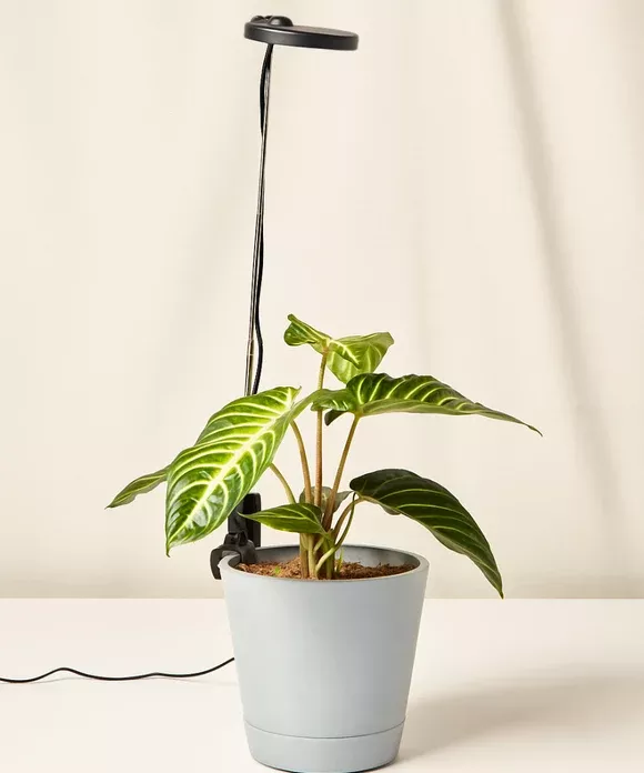 Adjustable LED Grow Light