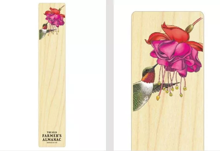 Almanac Hummingbird Wooden Bookmark