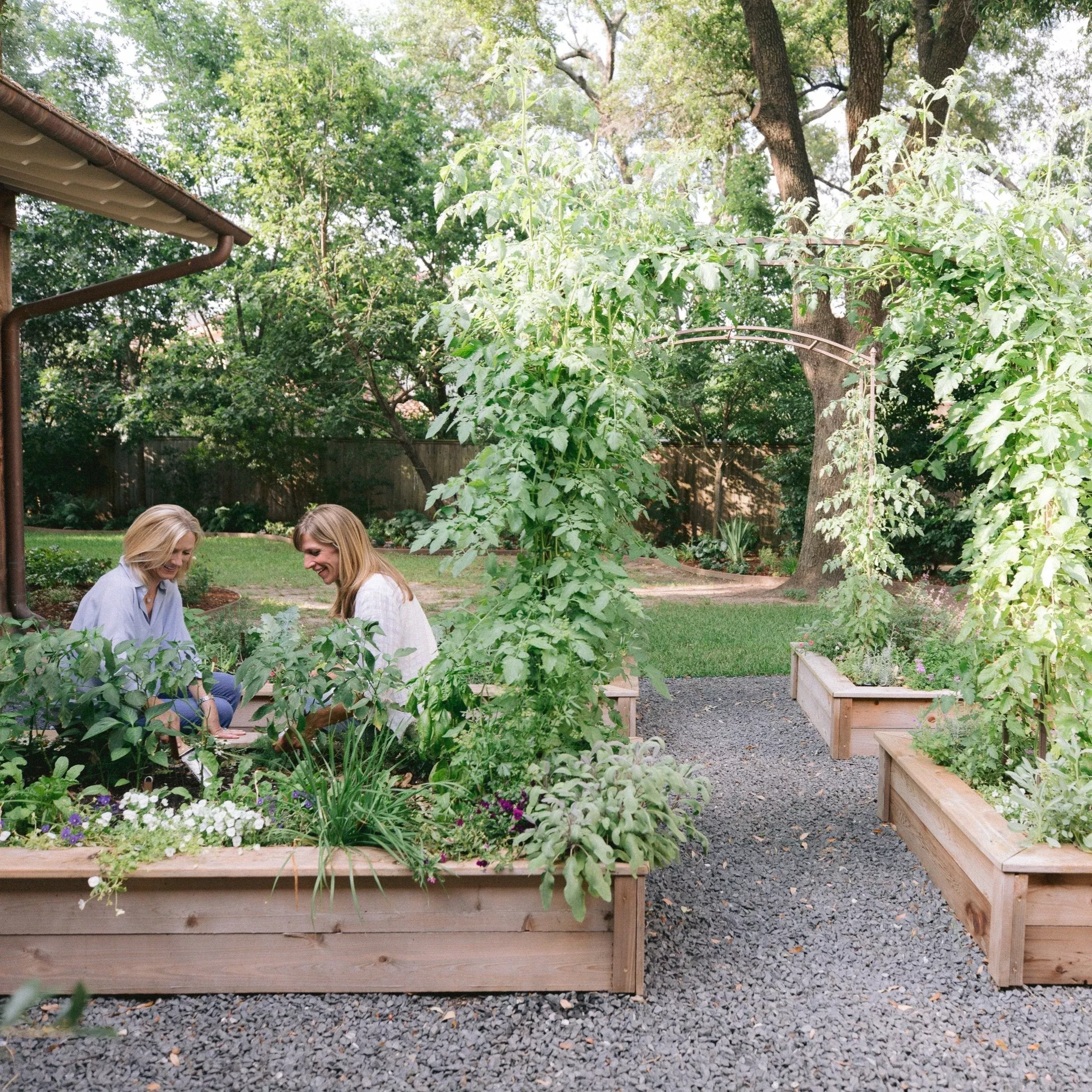Amy Kitchen Garden Bundle