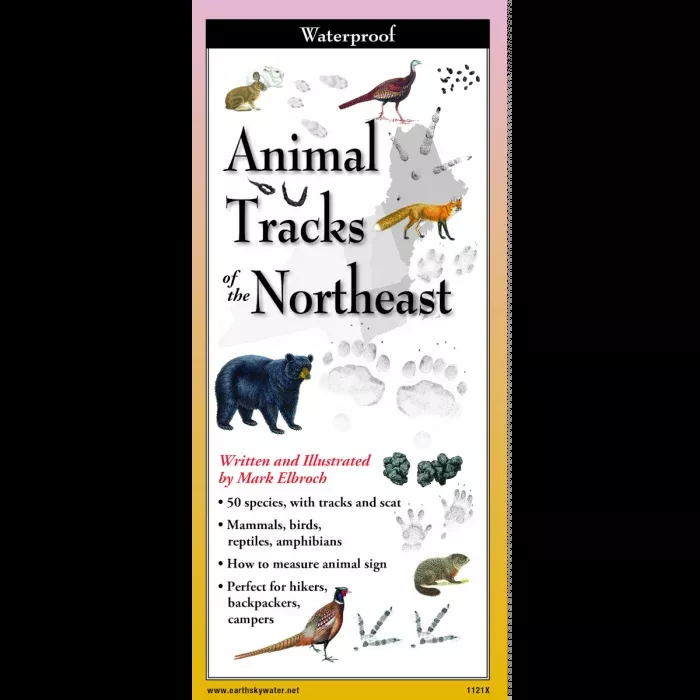 Animal Tracks of the Northeast, Folding Guide