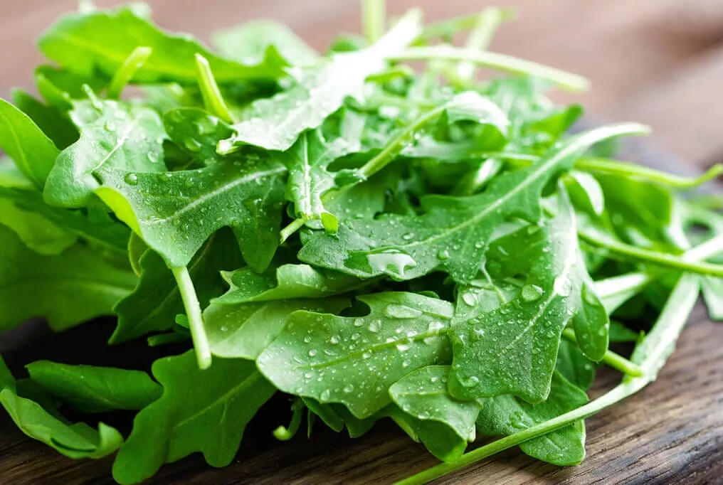 Arugula