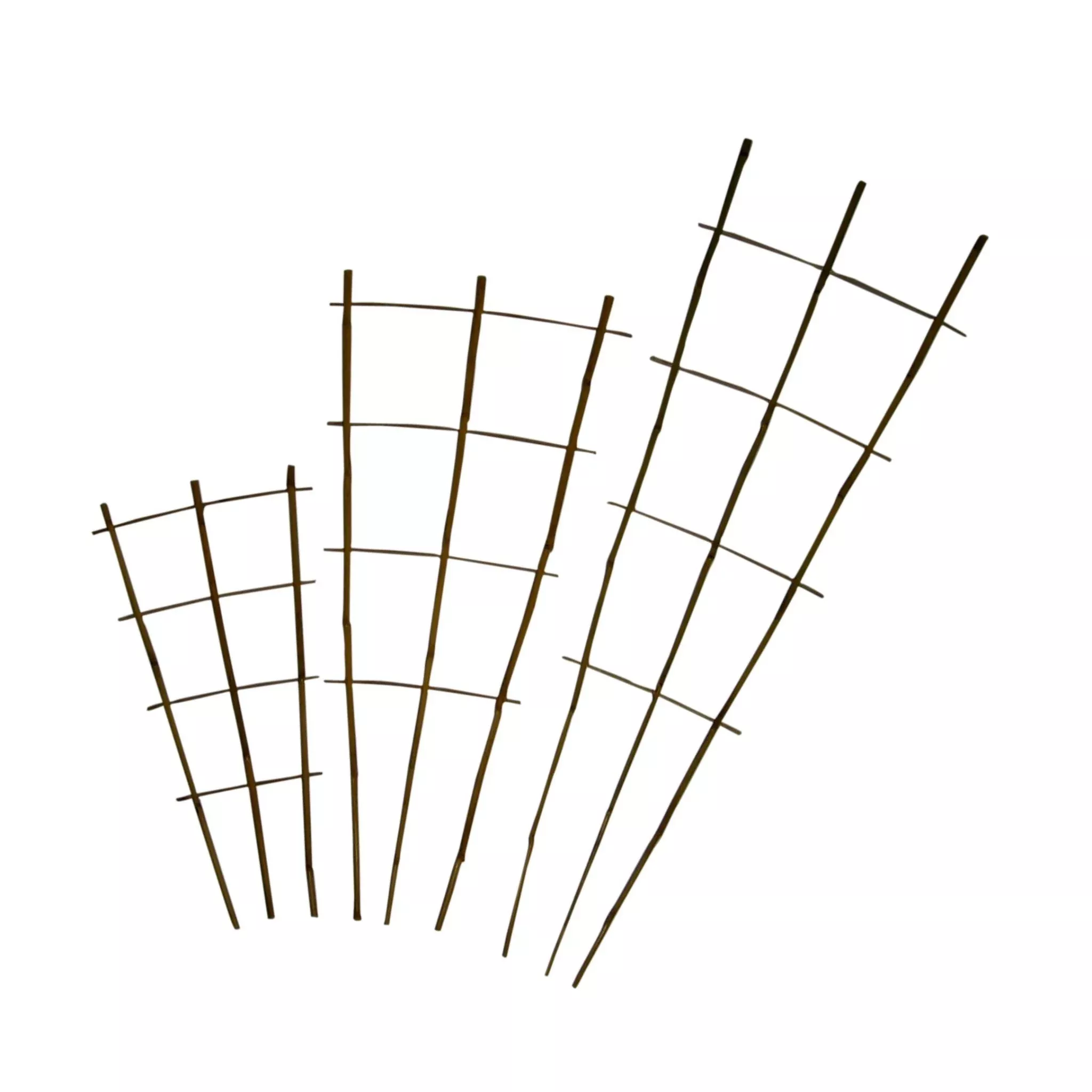 Bamboo Fan Trellis
