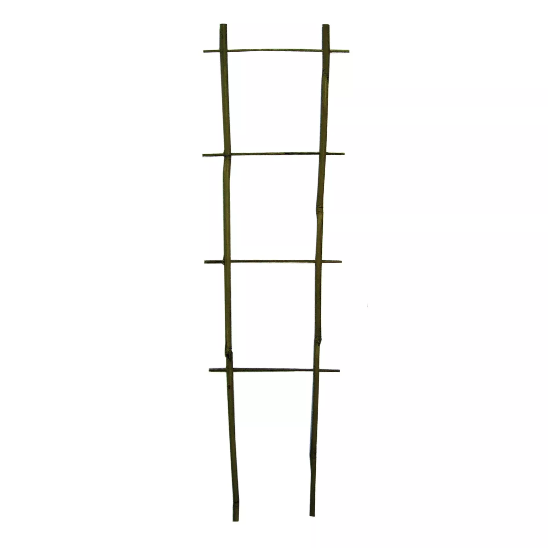 Bamboo Flair Trellis