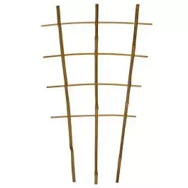 Bamboo Trellis Ladder/Fan, 24in Height, Bundle of 50