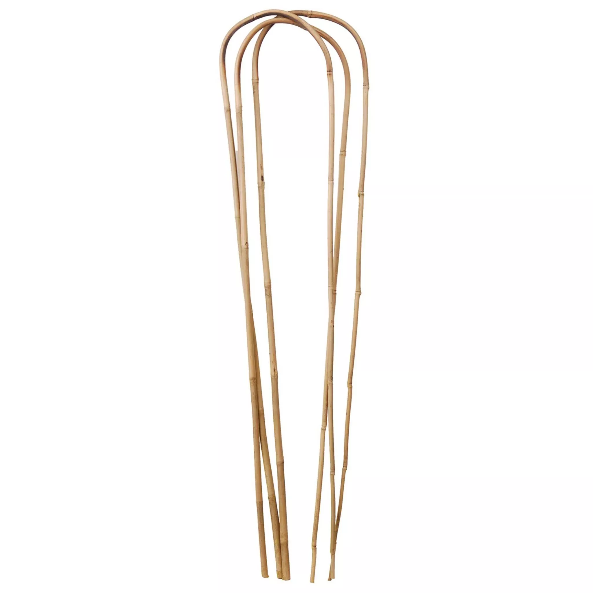 Bamboo U Trellis