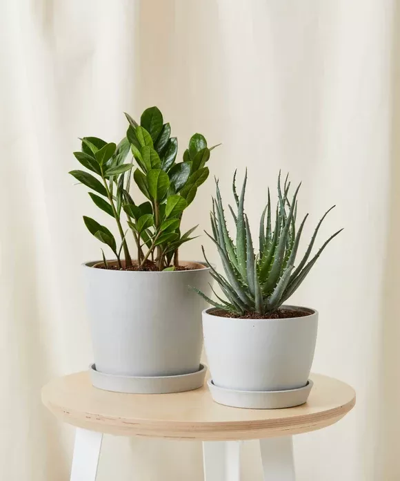 Beginner Bundle