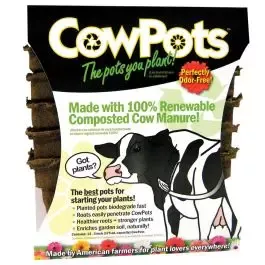 Biodegradable Plant Pots, Trade #3 Square, Pack of 12 Pots by CowPots
