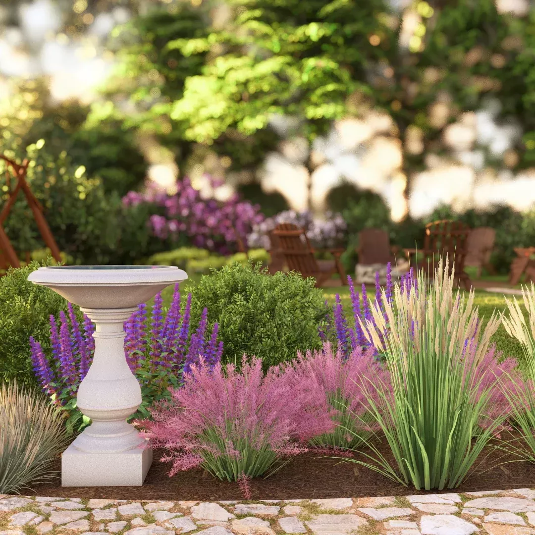 Bird Bath Garden