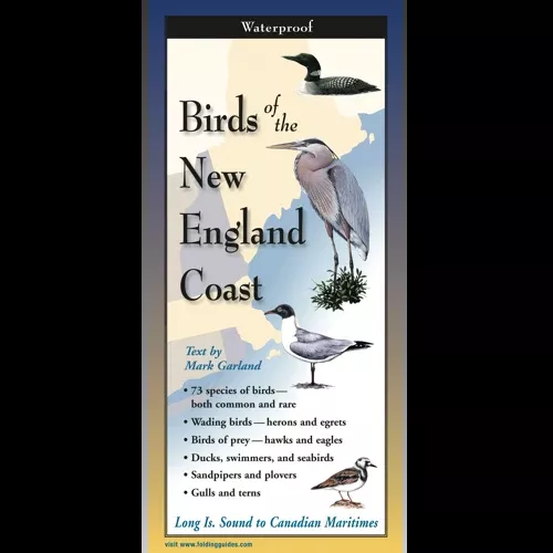 Birds of the New England Coast, Folding Guide