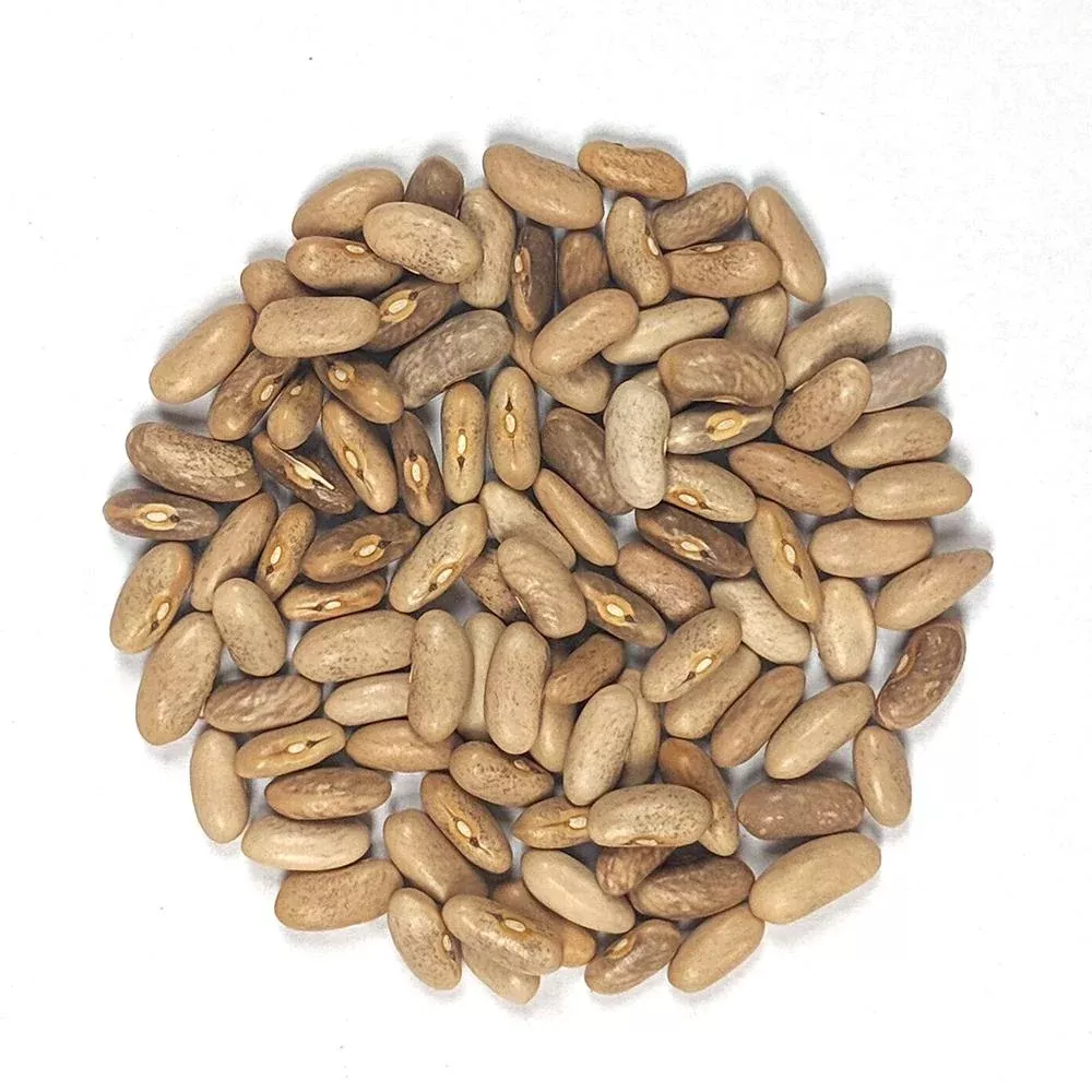 Bush Bean Seeds - Royal Burgundy