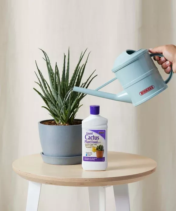 Cacti Fertilizer