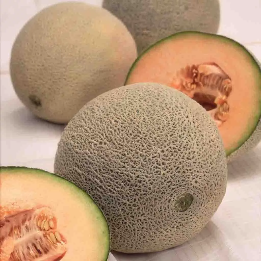 Cantaloupe, Hale's Best Jumbo Seeds, 3.5g