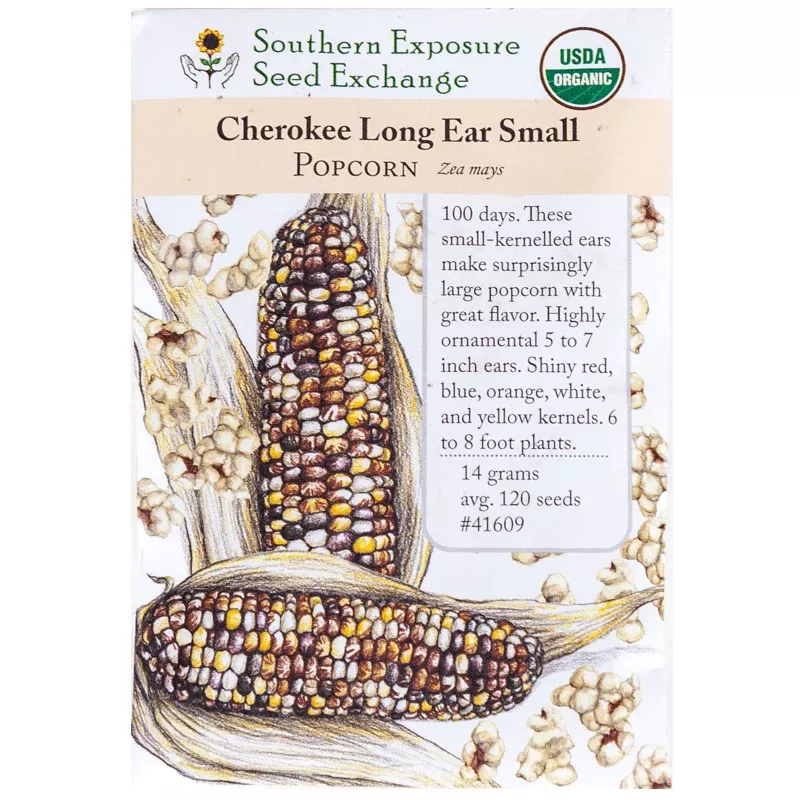 Cherokee Long Ear Popcorn Corn (Organic)