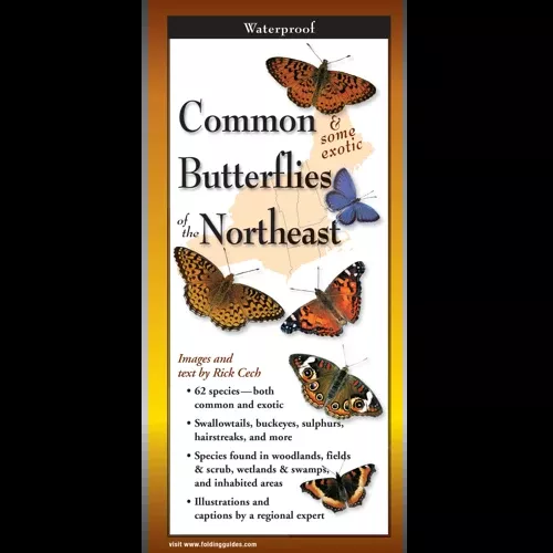 Common Butterflies of the Northeast, Folding Guide