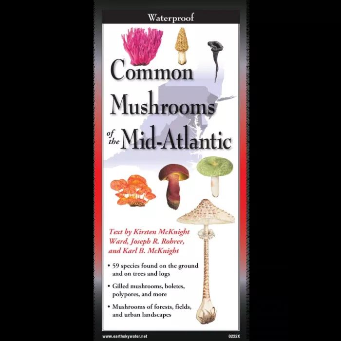 Common Mushrooms of the Mid-Atlantic, Folding Guide