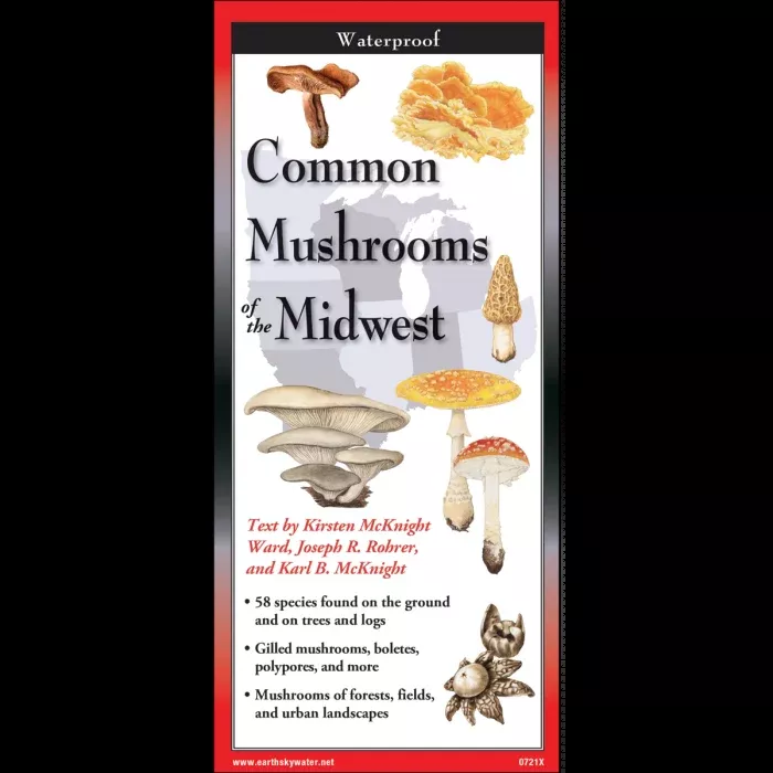 Common Mushrooms of the Midwest, Folding Guide