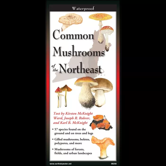Common Mushrooms of the Northeast, Folding Guide