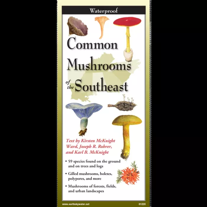 Common Mushrooms of the Southeast, Folding Guide