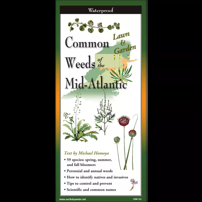 Common Weeds of the Mid-Atlantic, Folding Guide