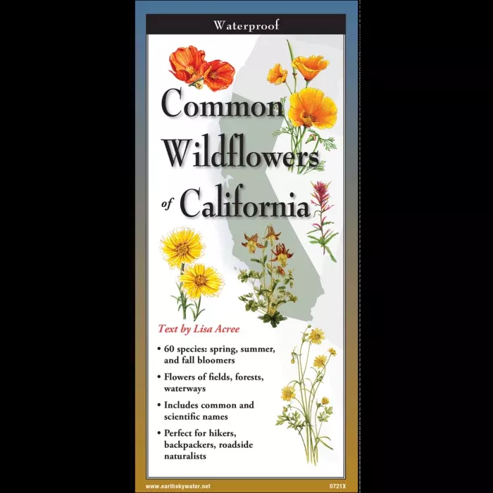 Common Wildflowers California, Folding Guide