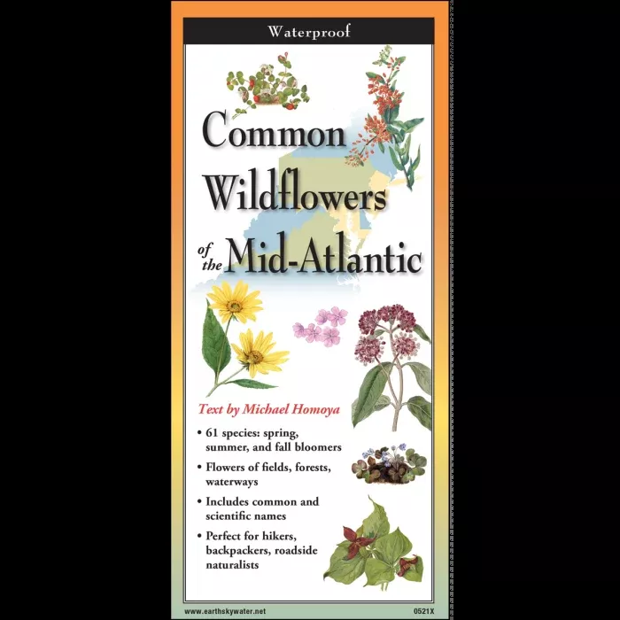 Common Wildflowers of the Mid-Atlantic, Folding Guide