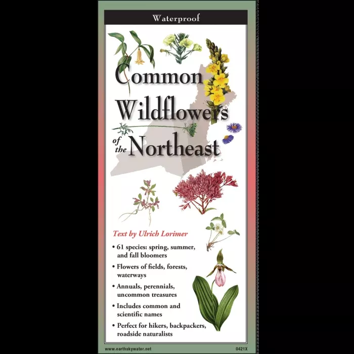 Common Wildflowers of the Northeast, Folding Guide