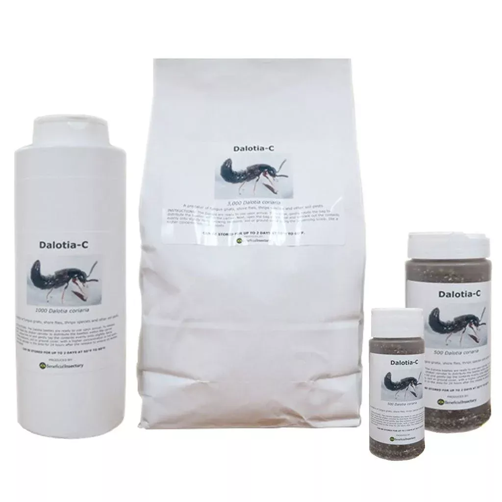 DALOTIAforce™ for Gnat Control