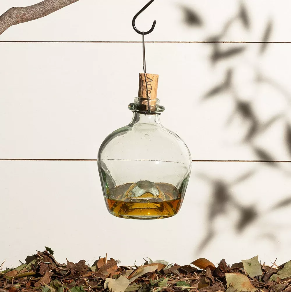 Eco-Friendly Glass Wasp Trap