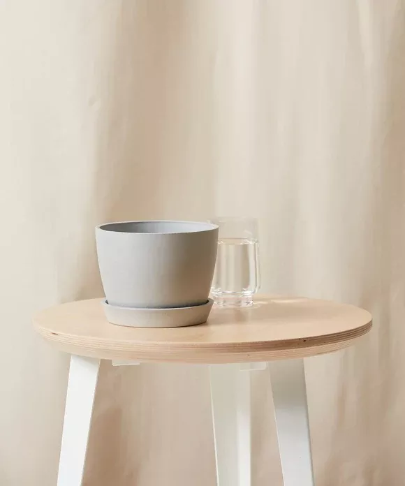 Ecopots Round Pot - 6"