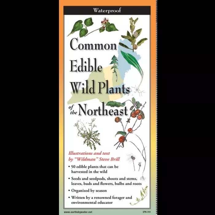 Edible Plants of the Northeast, Folding Guide