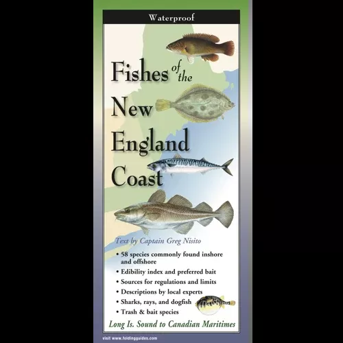 Fishes of the New England Coast, Folding Guide