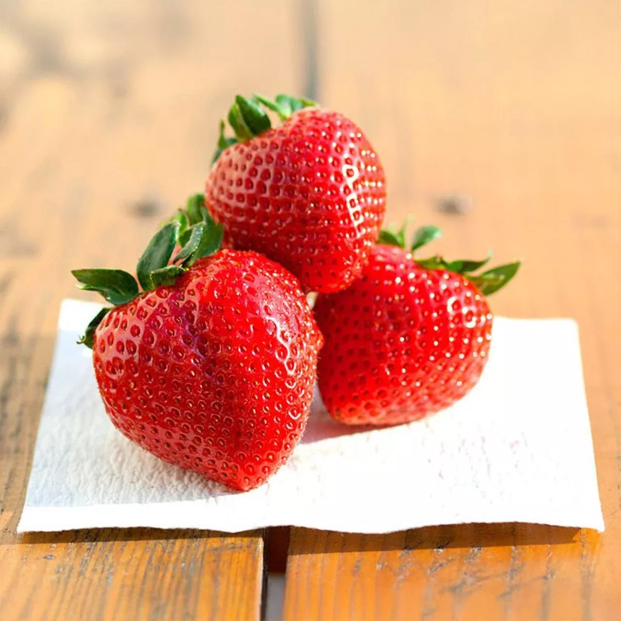 FreshPaper Produce Saver