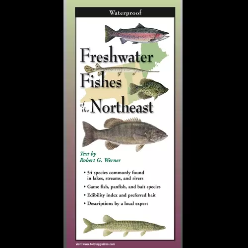 Freshwater Fishes of the Northeast, Folding Guide