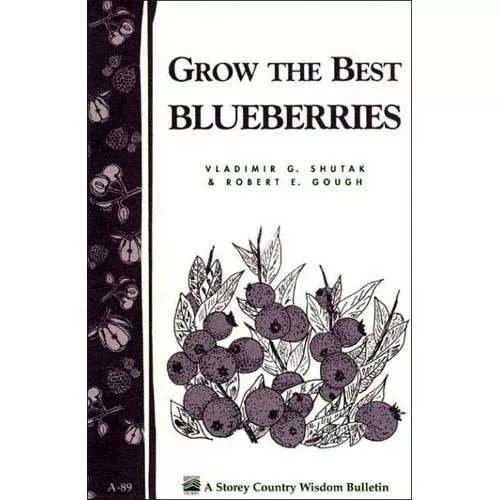 Grow the Best Blueberries