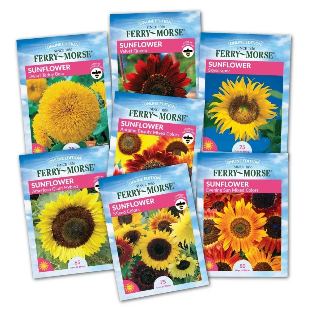 Grow the Sunshine SunflowerSeed Variety Pack - 7 Pack