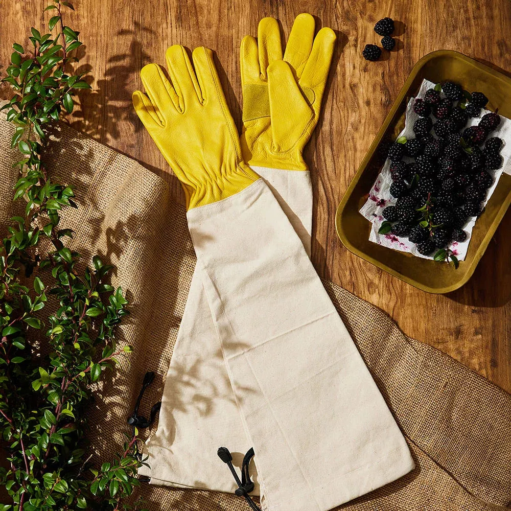 Heavy-Duty Bramble Gloves With Integrated Arm Guards - Small