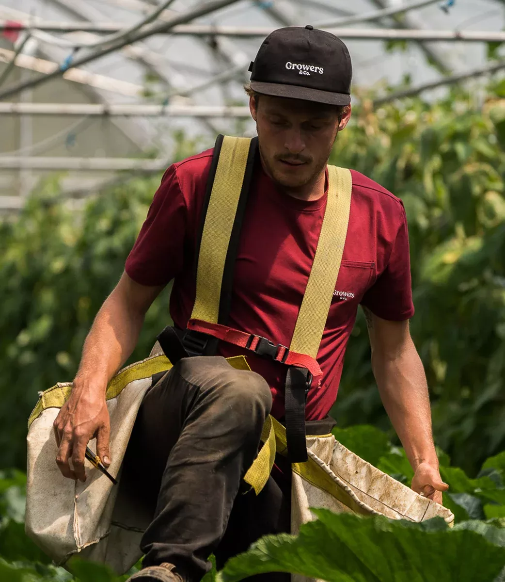 Kuroda Organic Cotton Black Baseball Cap