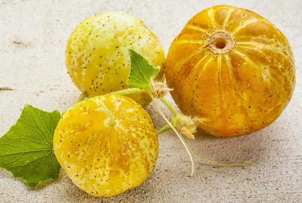 Lemon Cucumber