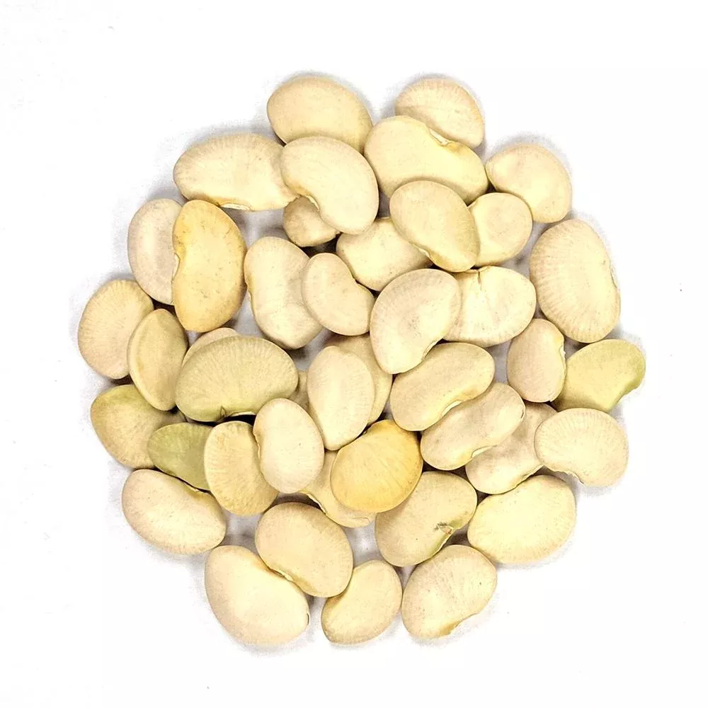 Lima Bean Seeds - King of the Garden (Pole)