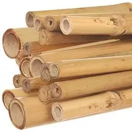 Natural First Cut Premium Bamboo Stakes, Bundle