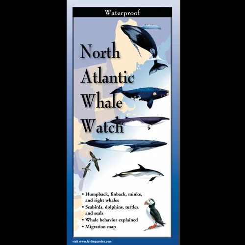 North Atlantic Whale Watch, Folding Guide