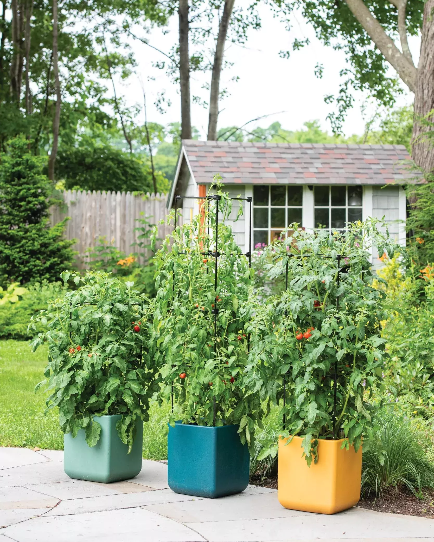 Oasis™ Self-Watering Tomato Planter With Trellis