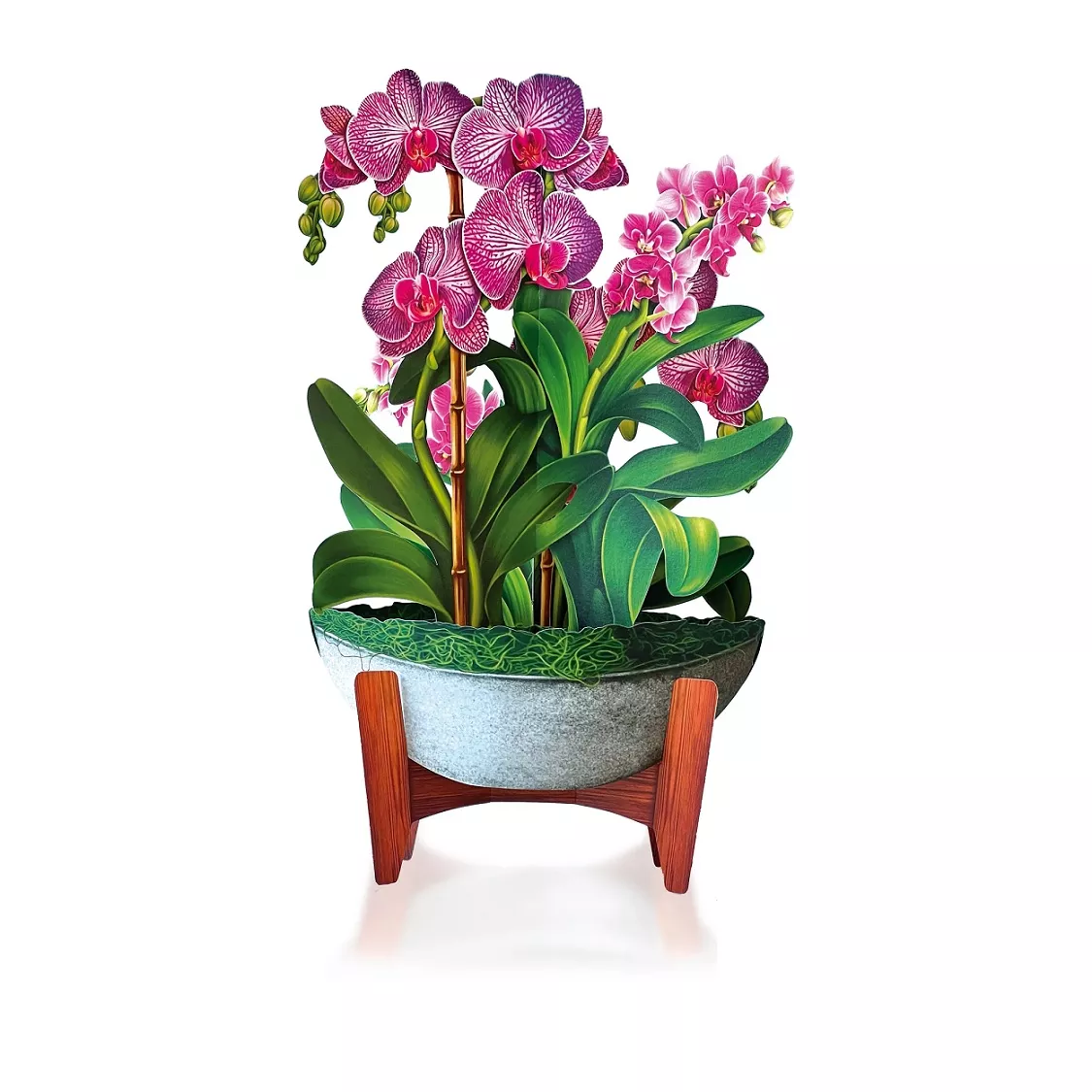 Orchid Oasis Pop Up Bouquet