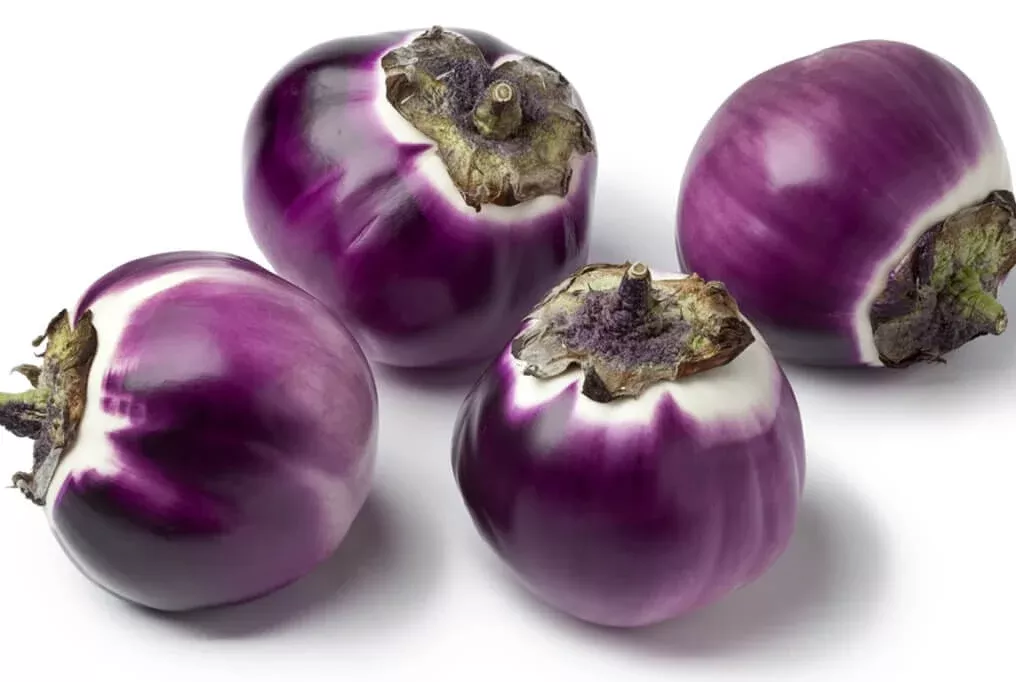 Palermo Eggplant