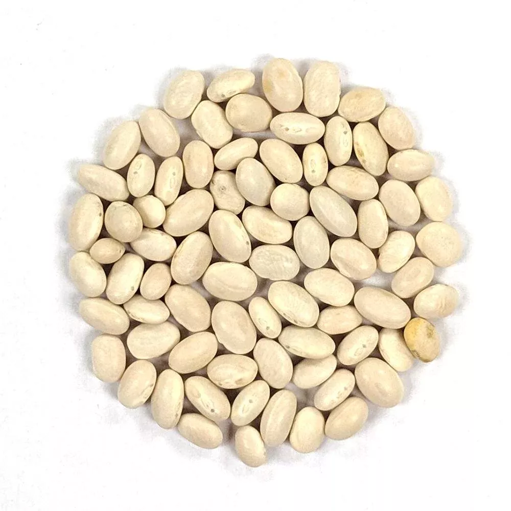 Pole Bean Seeds - Mountaineer White Half Runner
