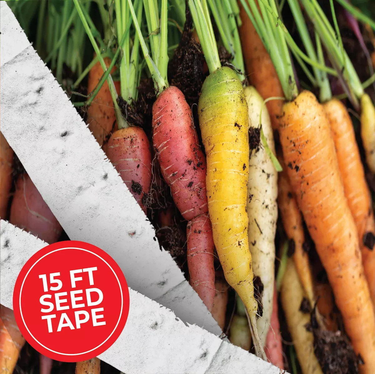 Rainbow Carrot Blend Seed Tape