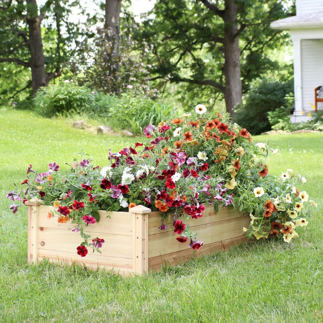 Rectangular Wood Raised Garden Bed - 24" x 48”