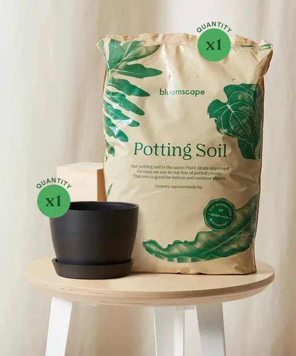 Repotting Kit (6” Pot)